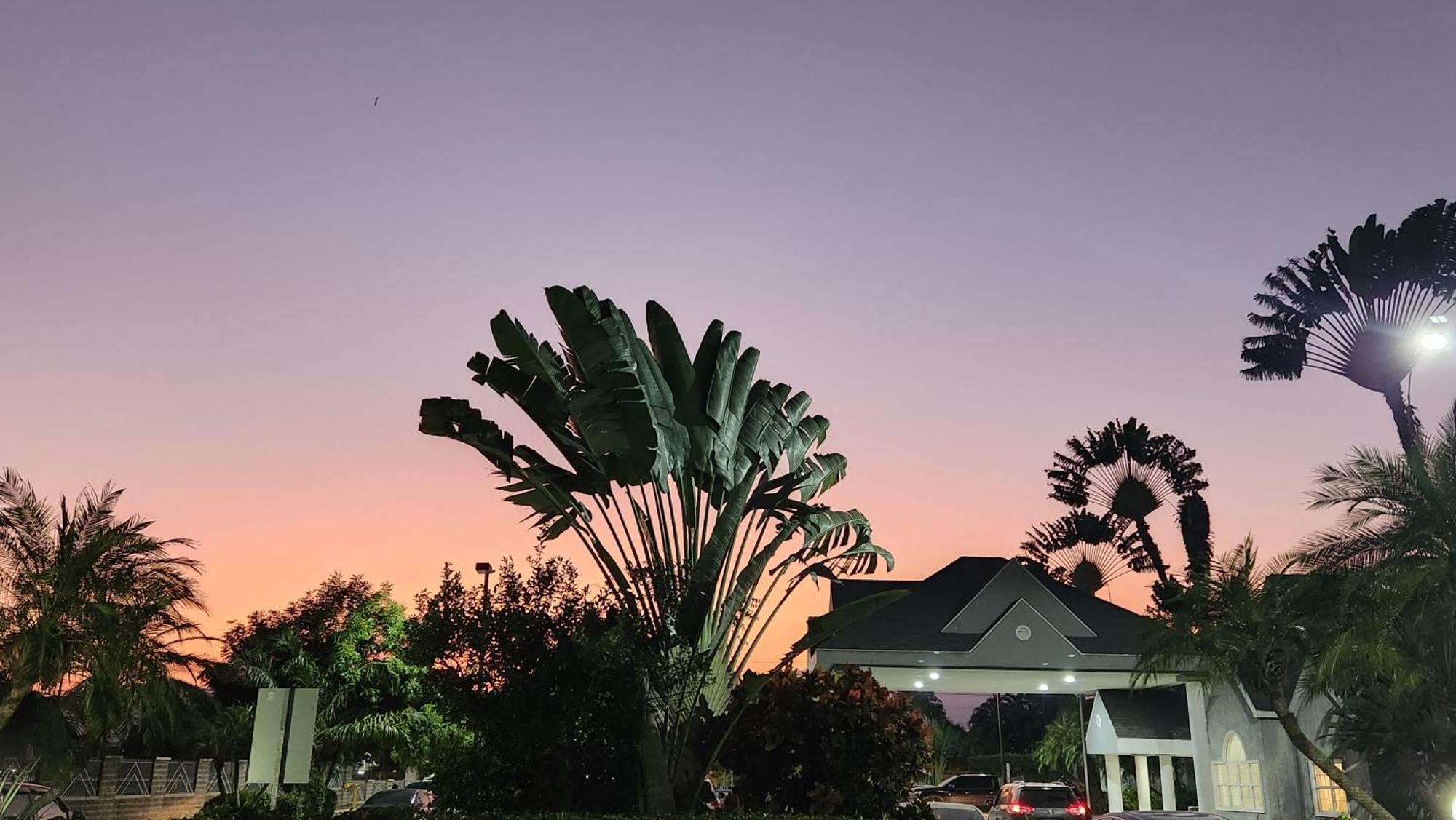 Metrotel Express San Pedro Sula Dış mekan fotoğraf